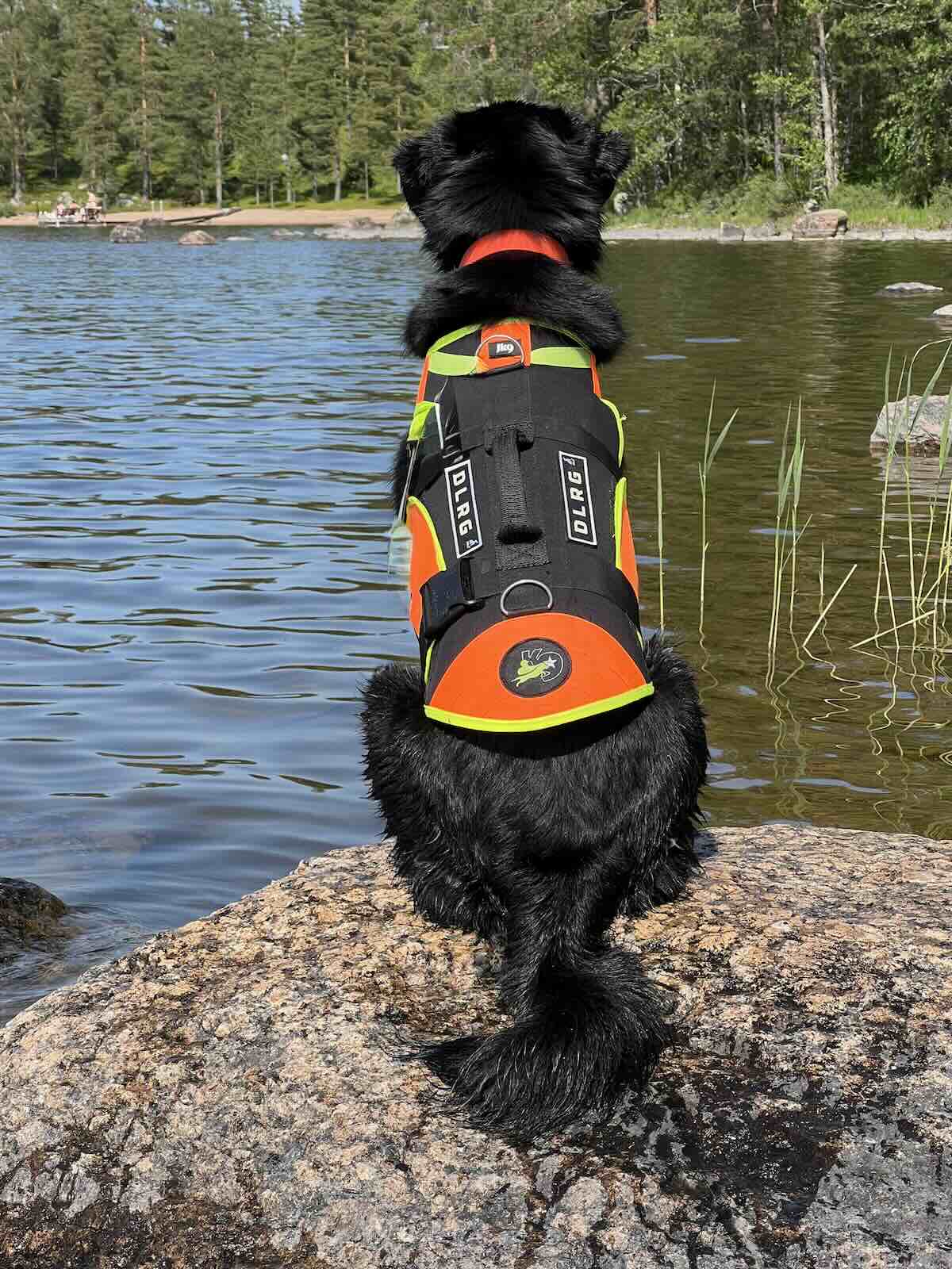 Tobyas sitzt mit orangefarbener DLRG-Schwimmweste auf einem Felsen am See.