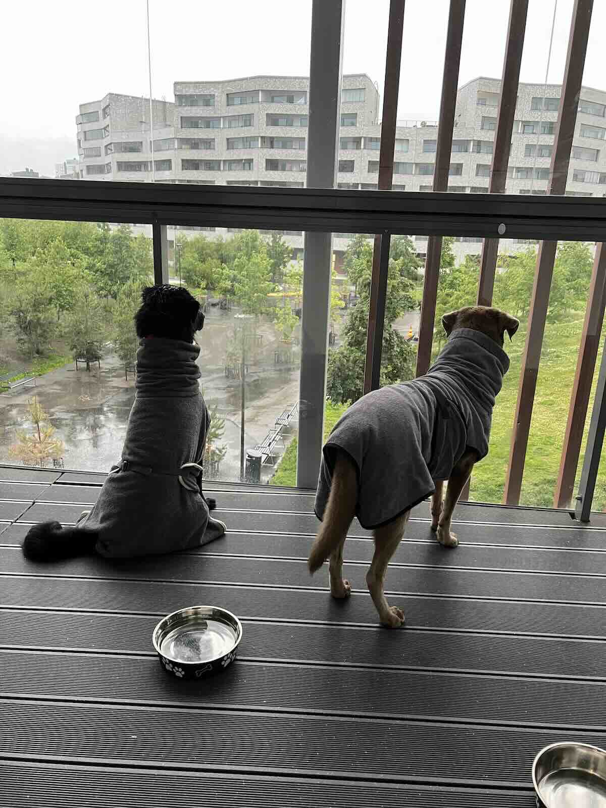 Tobyas und Maya stehen in Bademänteln auf einem verglasten Balkon in Helsinki.